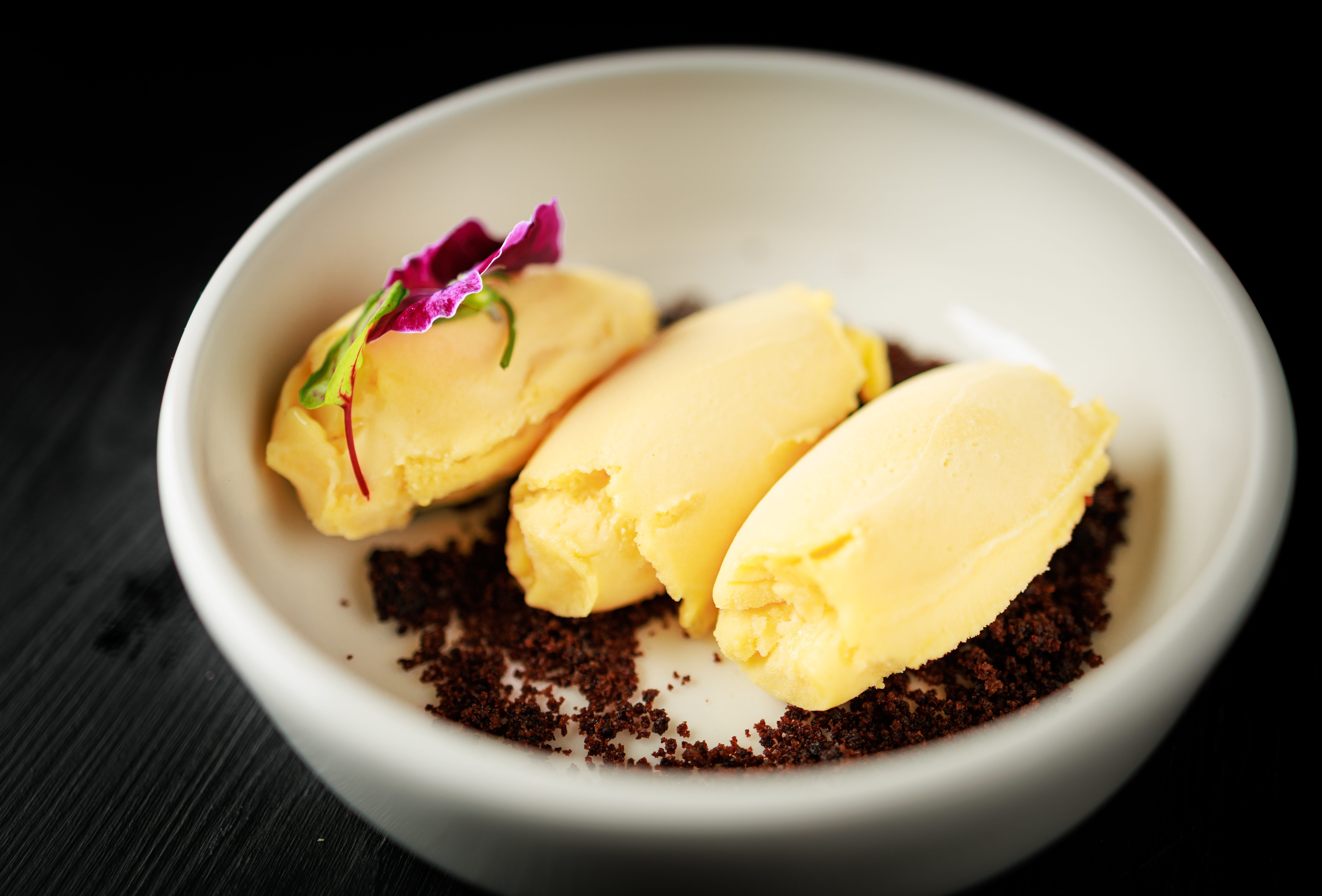 Sorbet